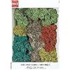 Busch Hornby Francia - Busch - 7101 - Circuito - Treno - Pacchetto rocce cespugli di licheni, Modelli/Colori Assortiti, 1 Pezzo