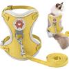 Generic Pettorina per gattino con guinzaglio per cani pettorina traspirante regolabile per animali domestici da esterno pettorina gilet di moda per cuccioli, gattini e conigli