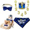 DHER Papillon Di Compleanno Per Animali Del Cappello Della Festa Di Compleanno Set Di Decorazioni Per Feste Per Animali Domestici Cappello Di Compleanno Per Cani Papillon Decorazioni Feste (Blu scuro)