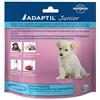 ADAPTIL JUNIOR COLLARE