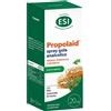 PROPOLAID ESI Propolaid Spray per la Gola alla Propoli e alla Menta 20ml