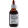 Aroph Spagiria MELILOTO AS SOLUZIONE IDROALCOLICA 100 ML