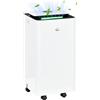 HOMCOM Deumidificatore Portatile da 10L con 5 Modalità, 2 Velocità, Timer 24h e Ruote, 25x25x50.5cm, Bianco