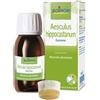 Boiron Aesculus Hippocastanus Tintura Madre 60ml