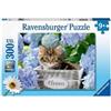 Ravensburger Puzzle Piccolo gattino 300 Pz Xxl di Ravensburger