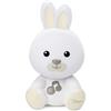 CHICCO (ARTSANA SpA) Chicco Coniglio Dolce Notte 1 Pezzo