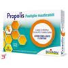 BOIRON Srl PROPOLIS PASTIGLIE MENTA 20 G