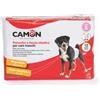 Camon Pannolini a fascia elastica per cani maschi Camon - Misura 1 - 30/46 cm - 1° ORDINE? scegli lo sconto BZR5 / BZR20 + 200 punti fedeltà