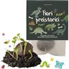 Ideenverlag HAMBURG 10x Dinosauri bombe di semi / Fiori selvatici meravigliosi - per feste di compleanno di bambini di dinosauri - biglie di fiori idea regalo - sfere con semi - bombe di semi di fiori