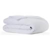 Todocama - Piumone, imbottitura 3001 in fibra antiacaro, autunno-inverno, 300 g/m², colore bianco (tutte le misure disponibili). (letto 160/180-240x220 cm)