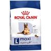 ROYAL CANIN CANE MAXI AGENING + 8 ANNI 3 KG