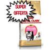 ROYAL CANIN GATTO KITTEN PERSIAN 400 G