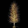 Gruppo Maruccia - Albero Natalizio Luminoso con 2000 Luci Led Bianco Caldo - Albero di Natale Artificiale per Interni ed Esterni Altezza 2,4 Metri 351 Rami Luminosi