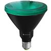 BENEITO FAURE PAR38 LED 15 W 230 V E27 30 ° verde IP65 lampada riflettore LED (possibilità di ricambio PAR38 60 W - PAR38 80 W) - per faretti da giardino, picchetti, lampade da esterni