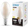 LVWIT Lampadine LED E27 Luce Calda 2700K, Lampadina LED Filamento 38W Equivalenti a 297W, 5400LM, Lampadine Luce Calda, Lampadina Stile Vintage,Risparmio Energetico,Non Dimmerabile, Pacco da 1 Unità