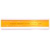 Studygraph by Graph'It - Normografo per disegno tecnico, carta e schemi, in plastica resistente agli urti, traccia lettere ISO 3 mm