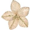 PARTENOPE SRL FIORE CHAMPAGNE SMALL