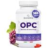 Bandini® Integratore OPC 365 Capsule Vegane, (95%) Estratto Semi d'Uva + Vitamina C, OPC puro da uva italiana con Contenuto più Alto Secondo HPLC, Antiossidante, Proantocianidina Oligomerica 95%