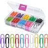 Rapidbok Set di 250 Graffette Colorate, 10 Colori Diversi, Clips Metalliche da 28 mm con Scatola di Plastica, per la Classificazione Della Carta dei Documenti di Cancelleria per Ufficio e Scuola