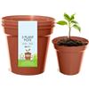 Whitefurze G04018 Set di 3 Fiori di Colore 15 vasi di Terracotta cm