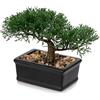Briful Bonsai artificiale realistico con vaso in ceramica nera per decorazione del bagno, ufficio, davanzale della finestra