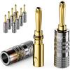 deleyCON 10 Pezzi Connettori a Banana Set - Placcato Oro Avvitabile per Cavo per Altoparlanti Cavo per Altoparlanti 0,75 mm - 4,5 mm & ad es. HiFi Audio Home Theater Ricevitore - Grigio