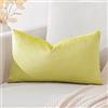 Artscope Federe Cuscini in Velluto Minimalista Copricuscino Colorato per la Decorazione Domestica Soggiorno Camera da Letto Divano 30x50cm, Giallo Limone
