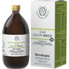GIANLUCA MECH Srl Slim Kalormech - Integratore per il Controllo del Senso di Fame - 500 ml