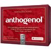 Opc Masquelier Anthogenol 90 Capsule pz