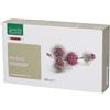 Bardana Bio 20Ampolle 15Ml 20x15 ml Flaconcini bevibili
