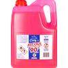 Caddy's Alcool Etilico Denaturato 5000ml - -