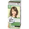 Liese PRETTIA Kao Bubble Hair Color, British Ash