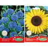 Germisem Blue Boy Semi di Fiordaliso 1.5 g & California Wonder Semi di Girasole 4 g