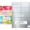 EVG Evergreen Goods™ Etichette adesive pretagliate formato A4, colore argento opaco, impermeabile, 2 x 5 (10 per foglio): 100 etichette in totale, 10 fogli, stampabili a getto d'inchiostro e laser,