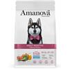 Amanova - Cibo Secco Cani Adulti, Salmone, 10Kg