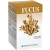 Specchiasol Fucus Erbe 150 Tavolette