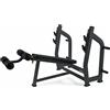 Toorx Professional Panca declinata WBX 3600 Toorx