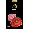 Cina in Italia Hao. Testo cinese a fronte. Ediz. bilingue