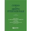 Giuffrè Corso di diritto internazionale. Volume IV la protezione dell'ambiente: Vol. 4