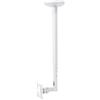 myWall My Wall HL 4-1 WL - Supporto per TV da soffitto, 25,4 cm (10) - 76,2 cm (30), estensibile, inclinabile + girevole, supporto da soffitto