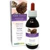 Naturalma Poria cocos (Wolfiporia extensa) fungo Tintura Madre analcoolica Naturalma - Estratto liquido gocce 120 ml - Integratore alimentare - Vegano