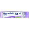 Boiron Srl Hepar Sulfuris Calc 30 Ch Granuli 1 Contenitore Multidose In Pp Da 4 G (80 Granuli) Con Tappo Dispensatore In Ps