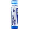 Boiron Srl Arsenicum Album 9 Ch Granuli 1 Contenitore Multidose In Pp Da 4 G (80 Granuli) Con Tappo Dispensatore In Ps