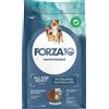 Forza10 Maintenance Dog Forza10 Maintenance All Breeds Adult al Pesce e Riso Crocchette cane - 12 kg