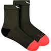 SALEWA Calzini da donna Mtn Trn Am W Qrt