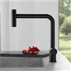 Fortis Brera extend rubinetto da cucina con 2 tipi di getto, orientabile, bocca estraibile, 0056601MB, Brera nero opaco [Rubinetteria da Cucina > Rubinetti da Cucina]