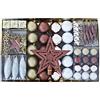 Heitmann DECO 92503 assortimento Decorazioni Natalizie, Plastica, Rame/Bianco/Oro, 47.5 x 29.7 x 6.5 cm