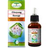 RENACO BY ALCHEMIA Renaco Citoyang Energy - Integratore per Stanchezza Psicofisica e Miglioramento del Tono dell'Umore