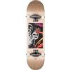 Globe Skateboard Mt Warning Mid 7.6