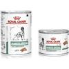*Royal Canin Diet Diabetic Dog Um 410Gr Special Low Minsan 911022123